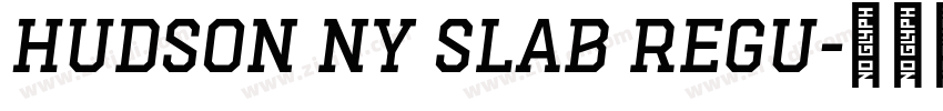 Hudson NY Slab Regu字体转换